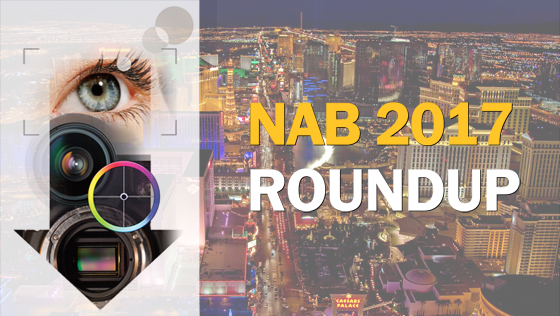 NABroundup-2017