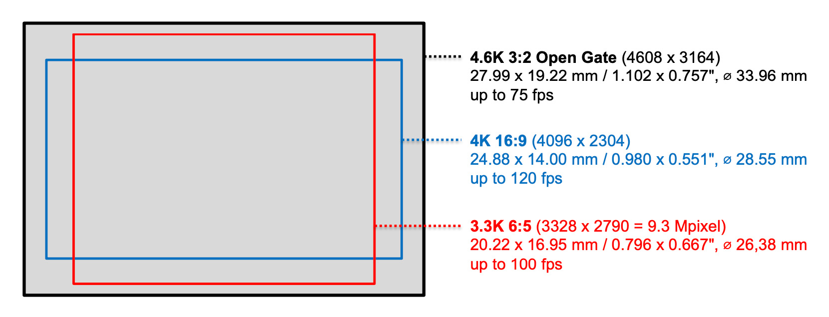 ALEXA 35 Frame