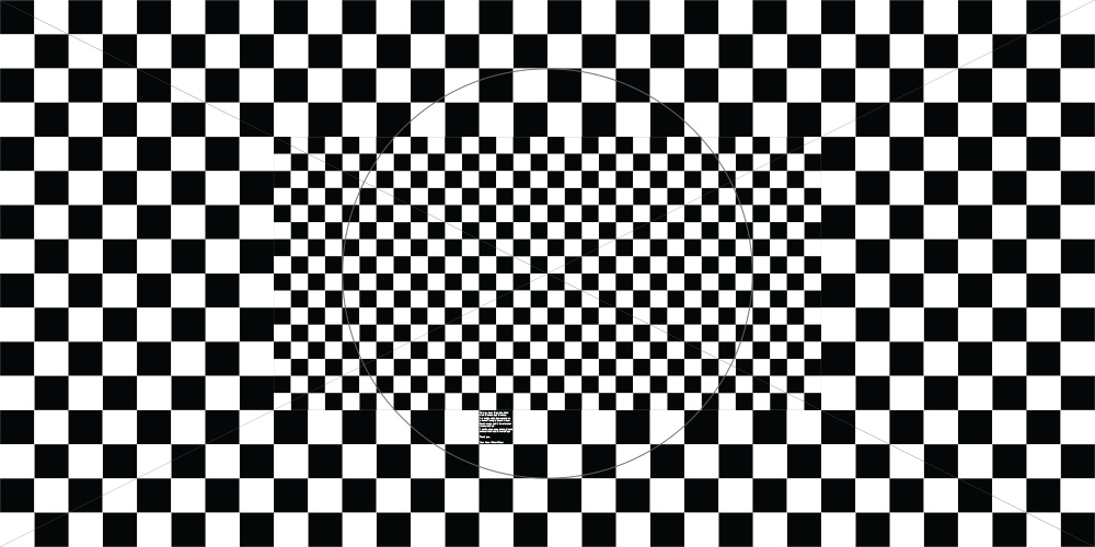 Len distortion grid