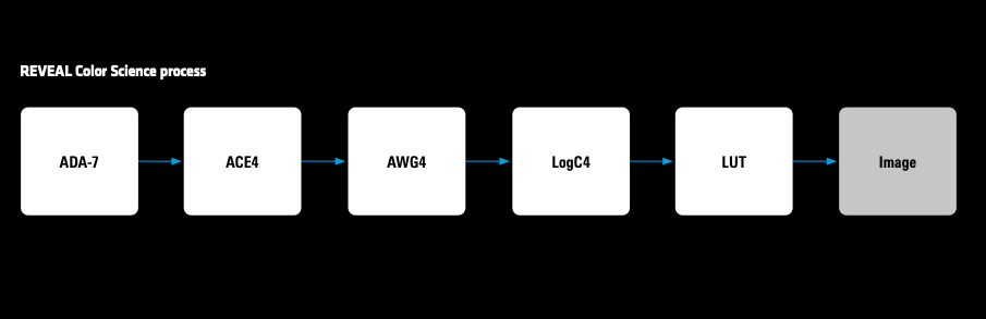 REVEAL Color Science Process