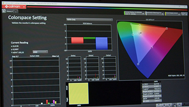 Calman Calibration Software