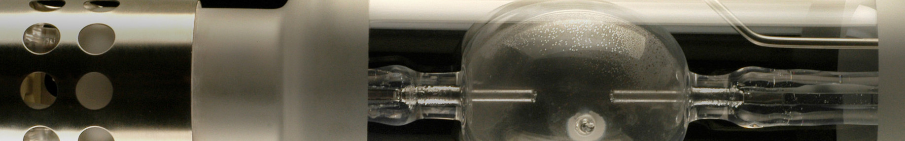 Bulbs