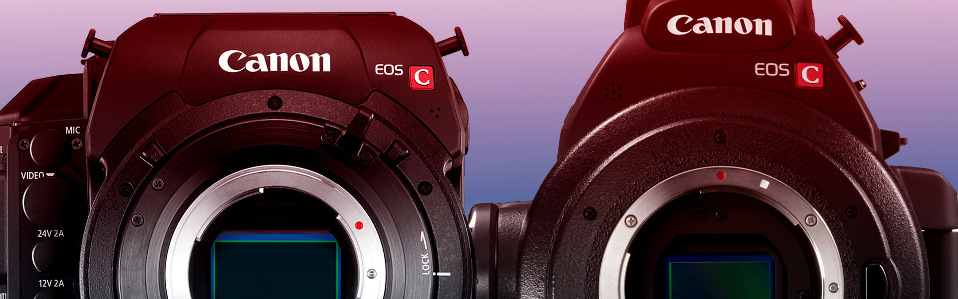 Header image for article Canon Camera Accessory Guide