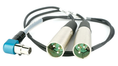 Lectrosonics TA 5-Pin Female to Dual XLR 3-Pin Male Cable - 20"