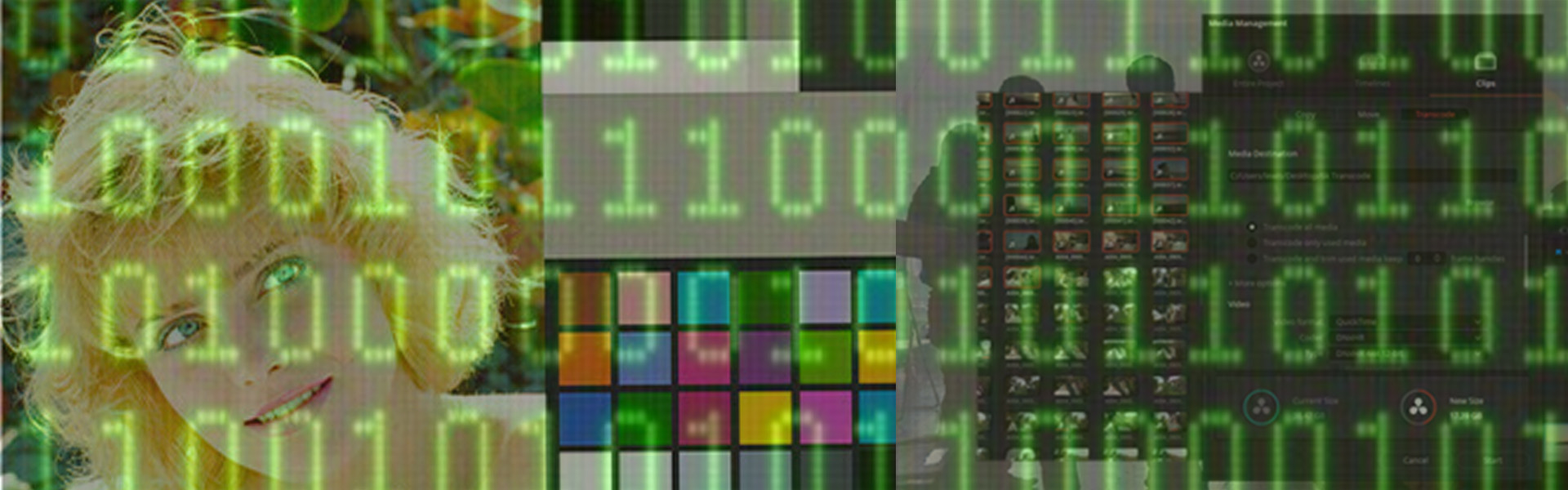 Header image for article Introducing the Advanced Digital Cinema Series of Online Classes