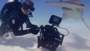 Intro image for article AbelCine Named Official Training Partner for Gates Underwater Housings
