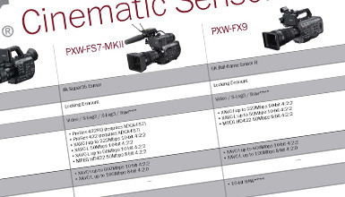 Intro image for article Sony Cinematic Sensor Camera Lineup