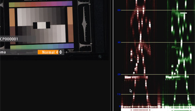 Intro image for article Using Wide DR Gamma with the Canon C100 and C300