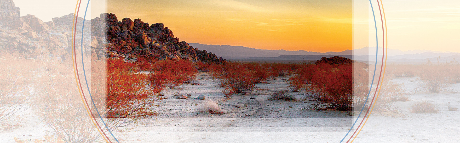 Header image for article Why Full Format?