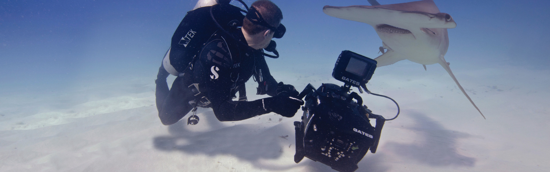 Header image for article AbelCine Named Official Training Partner for Gates Underwater Housings