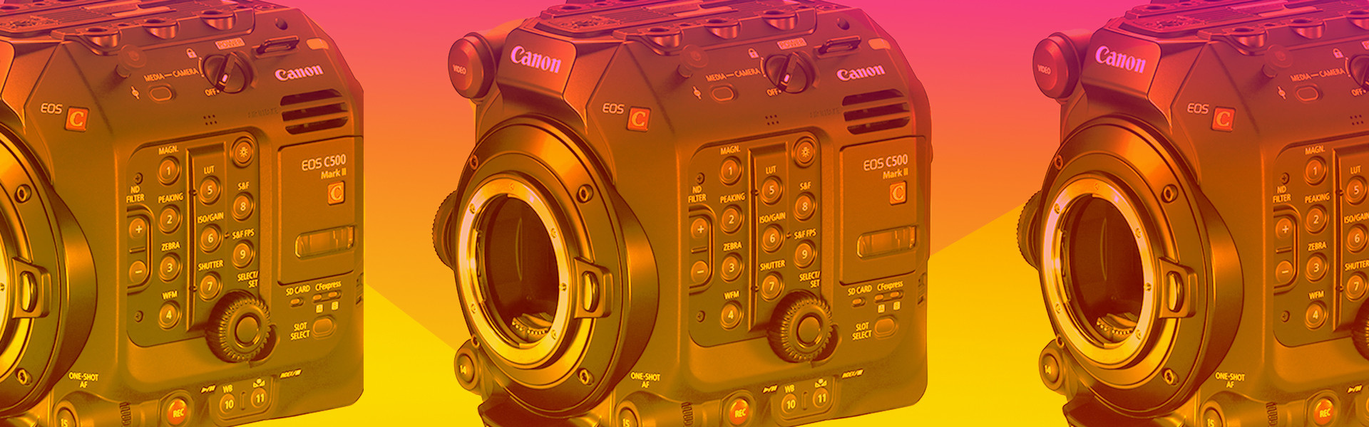 Header image for article C500 Mk II: Early Thoughts From a C300 User