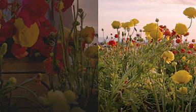 Intro image for article High Dynamic Range Explained