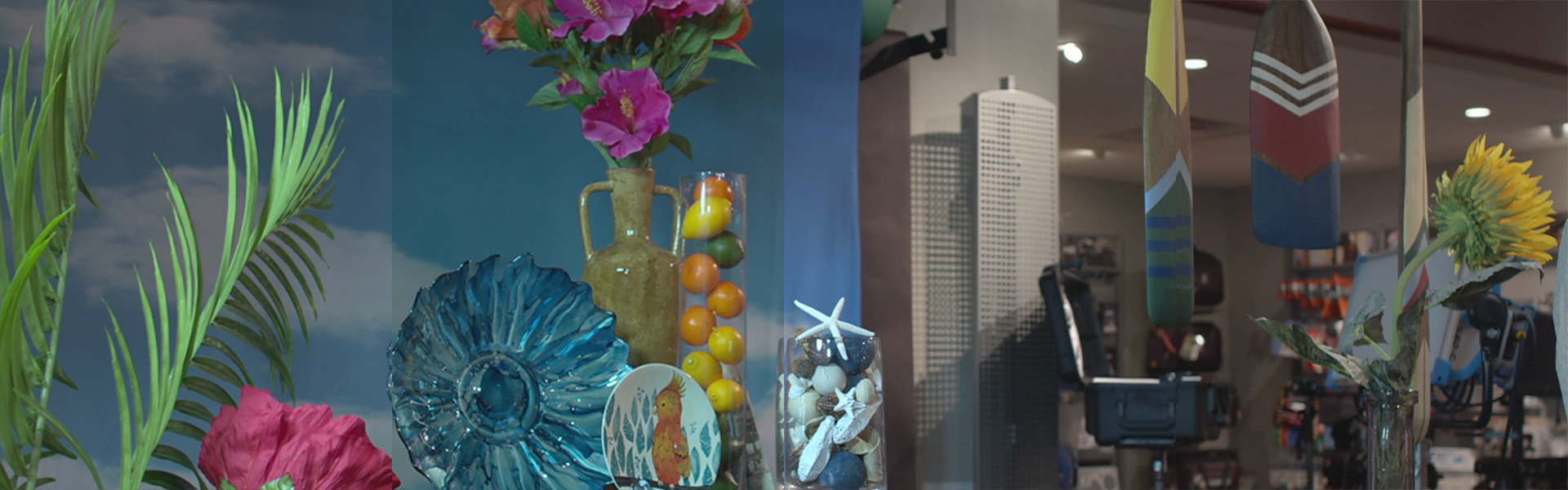 Header image for article Panasonic VariCam LT Scene Files from AbelCine