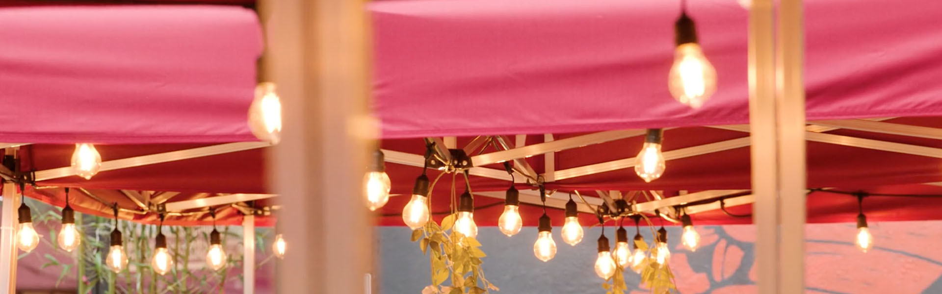 Header image for article Testing ARRI's New Signature Zoom Lenses