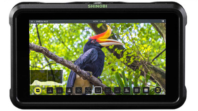 ATOMOS Shinobi 5" HDMI HDR Field Monitor