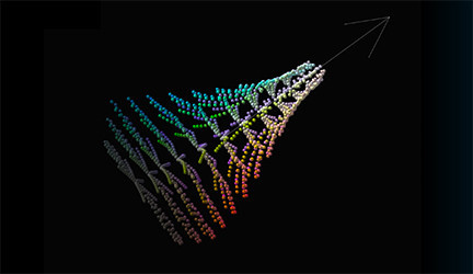 Celebrating Look & Color: Discover Chromogen Experience