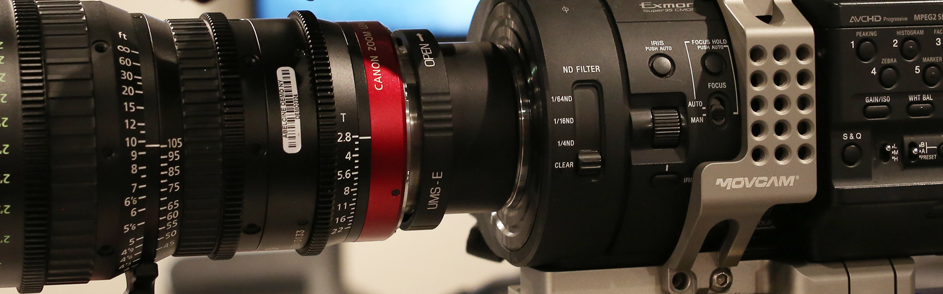 Header image for article Evaluating the Canon 30-300 Cinema Zoom