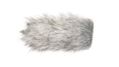 RODE Dead Cat Windshield
