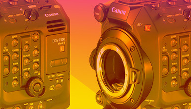 Intro image for article C500 Mk II: Early Thoughts From a C300 User