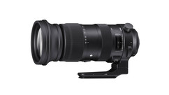 Sigma 60-600mm f/4.5-6.3 DG OS HSM Sports Zoom - EF Mount