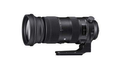 Sigma 60-600mm f/4.5-6.3 DG OS HSM Sports Zoom - Nikon F Mount