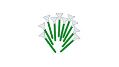 VisibleDust MXD Vswab Sensor Cleaning Swabs 1.6x - Green (12-Pack)
