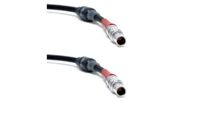 cmotion LCB-1-01 LBUS Cable - 9.8'