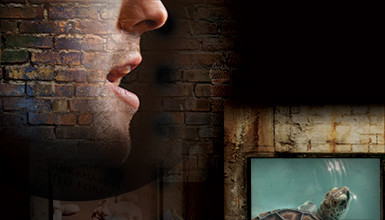 Intro image for article Documentary Profiles: Peter Schnall