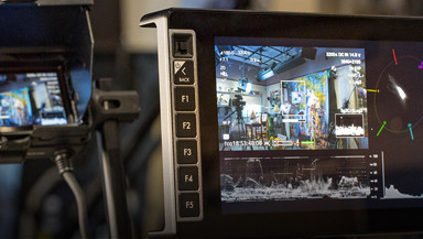 Monitors / Viewing
