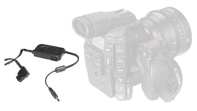 Core SWX XP P-Tap Cable for Canon C100 / C300 / C500 - 20"