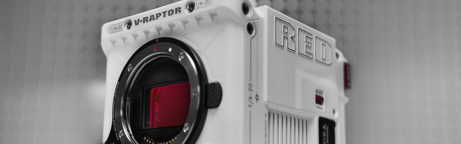 Header image for article RED Announces New V-RAPTOR