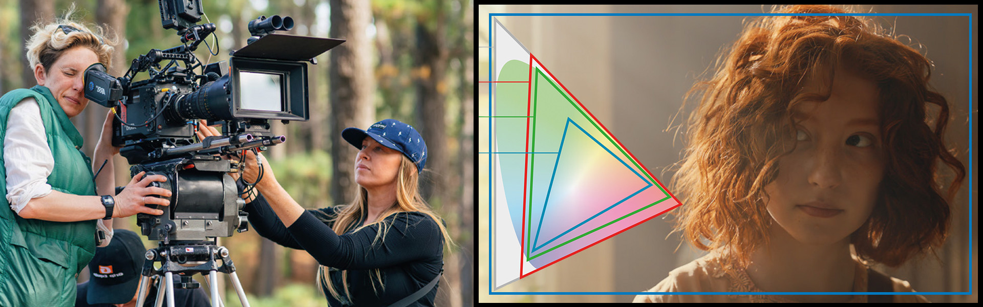 Header image for article ARRI's New REVEAL Color Science Explained