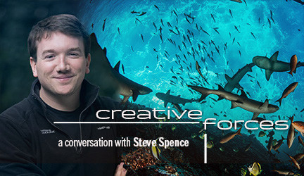 Creative Forces Online: Steve Spence