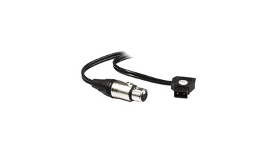 HIVE Lighting D-Tap to 4-Pin XLR Connector Cable for Bee 50-C, Wasp 100-C